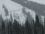 DSCN6350