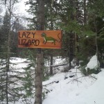 IMG_00000005 IMG_00000005