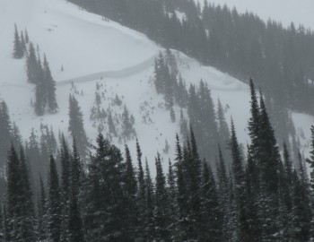 Southern Rockies Avalanche Observations. March 22 Southern Rockies Avalanche Observations. March 22