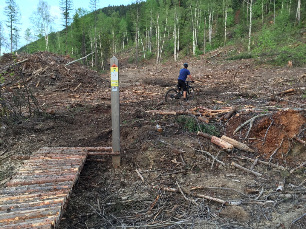 Kush logging