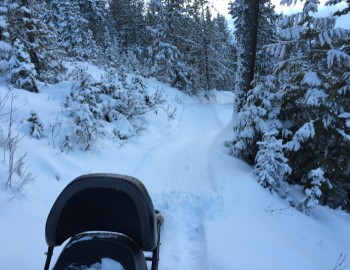2016 Winter Grooming on Montane Trails 2016 Winter Grooming on Montane Trails