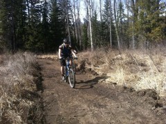 Montane Trail Reroute to Uprooted Trail