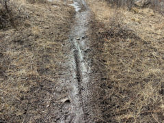 Elk Rim Trails Not Ready to Ride